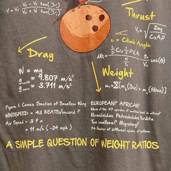 Graphic Tee Shirt with Airspeed Velocity of Unladen Sparrow Size M - Picture 2 of 6